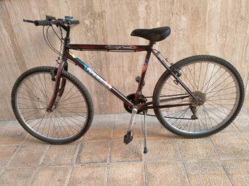 bici da passeggio 