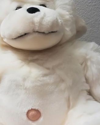 Scimmiotto e Orso da collezione  nuovi