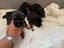 Immagine 5