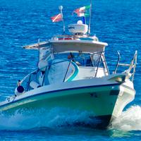 Fisherman Barracuda C 24 Polyform