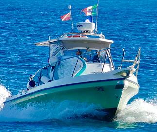 Fisherman Barracuda C 24 Polyform