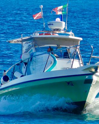 Fisherman Barracuda C 24 Polyform