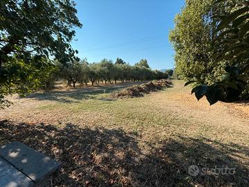 Terreno a Lammari (Lucca)