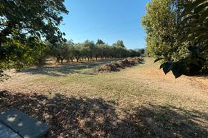 Terreno a Lammari (Lucca)