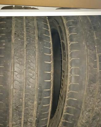 gomme estive 