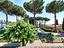 Immagine 6