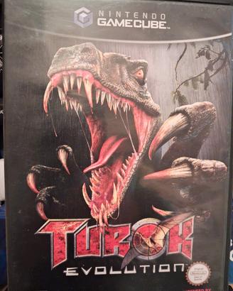 Turok -Evolutiion