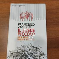 Il pesce piccolo