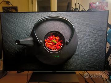 TV LG 48" Usato come nuovo OLED48C34LA.API