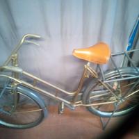 Bici da carico