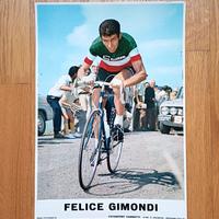 Foto cartonate Gimondi autografo