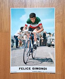 Foto cartonate Gimondi autografo