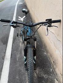 bicicletta elettrica