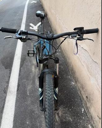 bicicletta elettrica