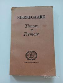 Sören Kierkegaard, Timore e tremore,