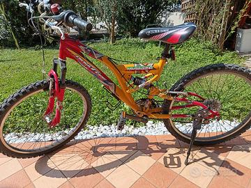 bicicletta 