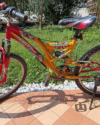 bicicletta 