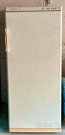 Congelatore verticale SANCY