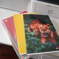 Quaderni a quadretti 1 cm