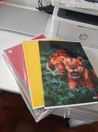 Quaderni a quadretti 1 cm