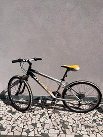 Bicicletta da bambino