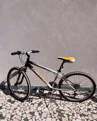 Bicicletta da bambino