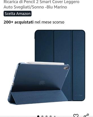 Pro case iPad