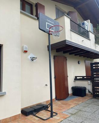 Canestro regolamentare