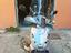 Immagine 2