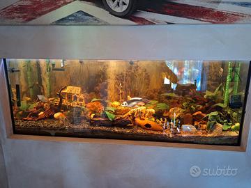 acquario 500 litri completo
