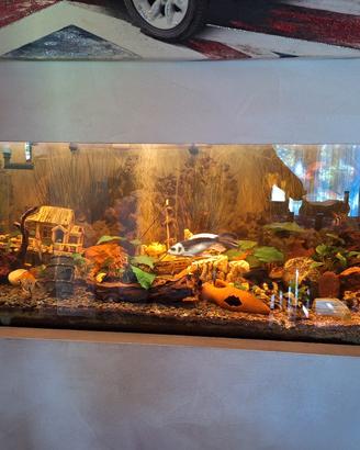 acquario 500 litri completo