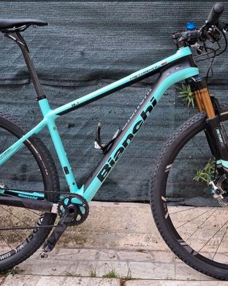 Bianchi methanol cv 9.1