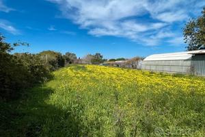 Terreno agricolo Milazzo