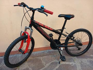 Bicicletta perfetta