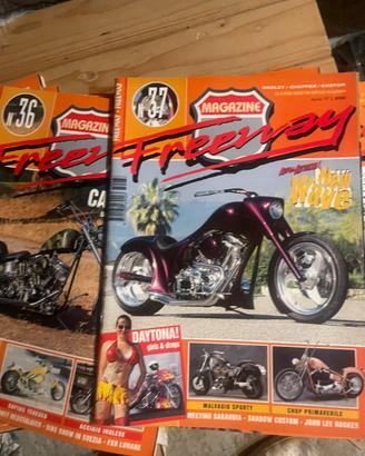 Freeway e riviste PlayStation