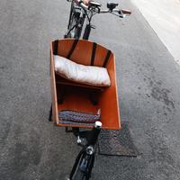 Cargo bike elettrica