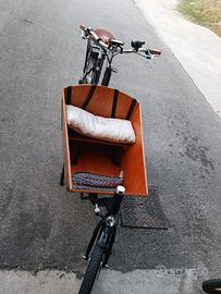 Cargo bike elettrica