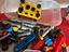 Immagine 3