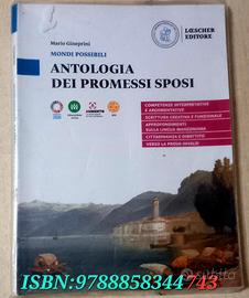 Antologia dei promessi sposi