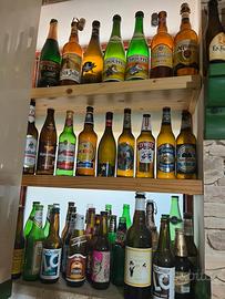+240 Collezione bottiglie di birra vuote pub