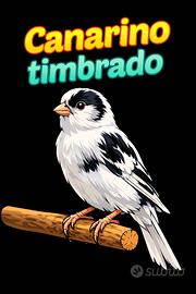 Timbrado