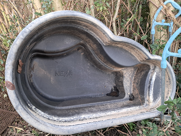 Vasca papere oche anatre pesci