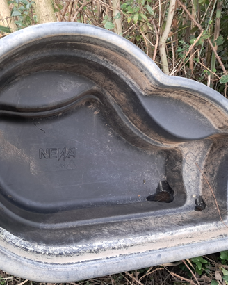 Vasca papere oche anatre pesci