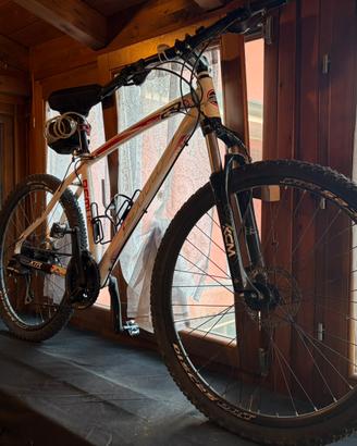 Bicicletta mountain bike