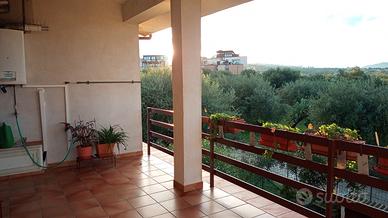 Rifinita ed Ampia Villa Singola con Terreno