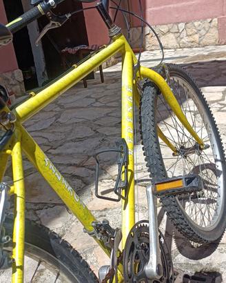 bicicletta 