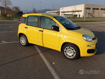 panda - 2025 - 13200km – perfetta!!
