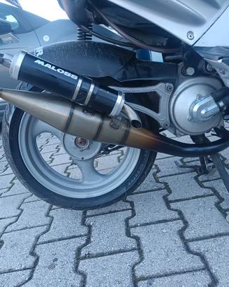 marmitta scooter Malossi mhr