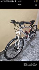 Bici bottecchia