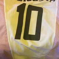 Collezione maglie calcio